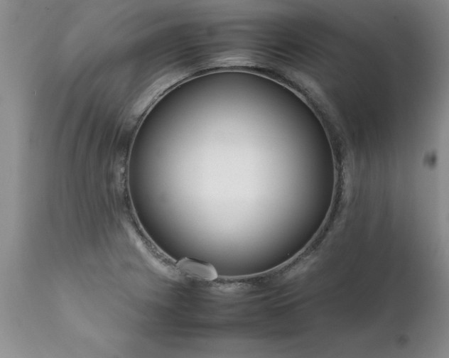 X0000111811225200907301225