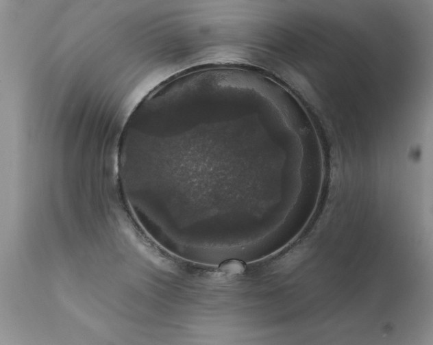X0000111811226200907301225