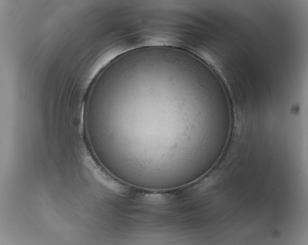 X0000111811227200907301225