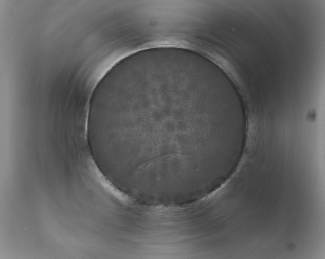 X0000111811228200907301225