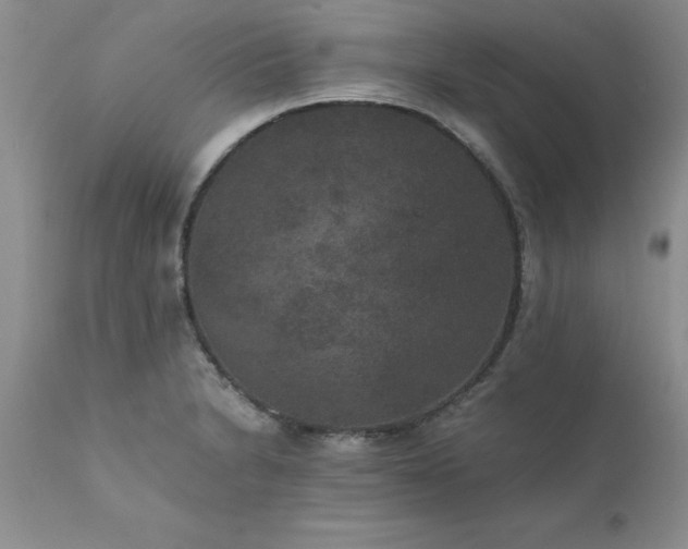 X0000111811230200907301225