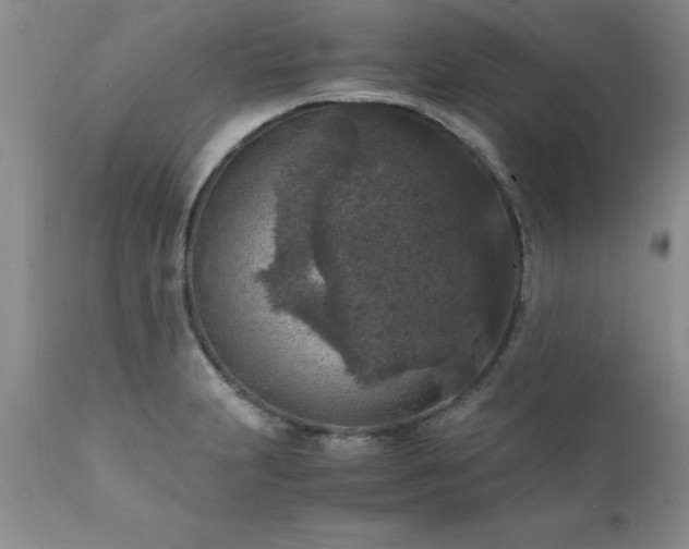 X0000111811231200907301225