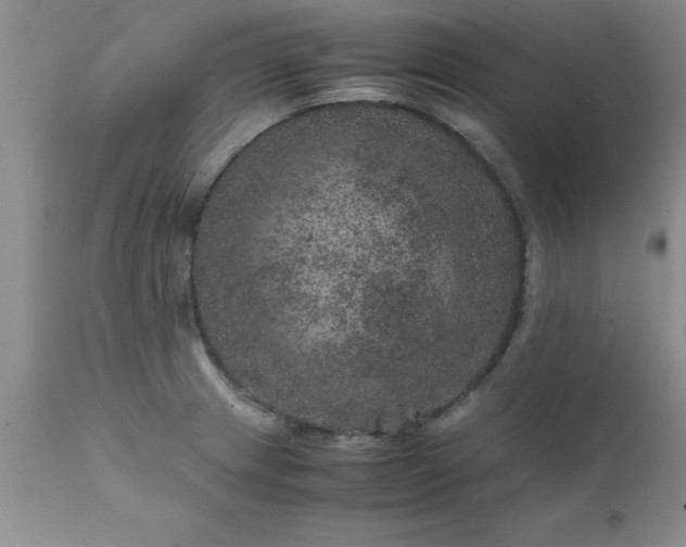 X0000111811233200907301225