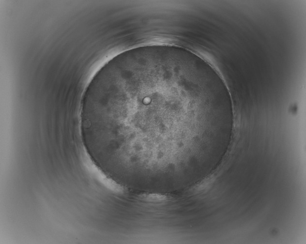 X0000111811235200907301225