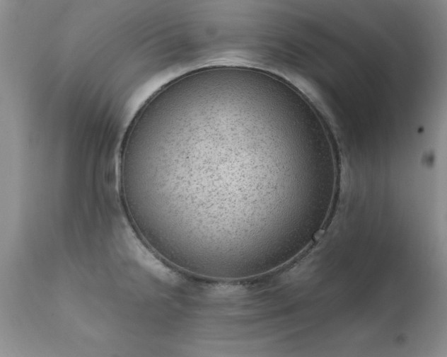 X0000111811238200907301225