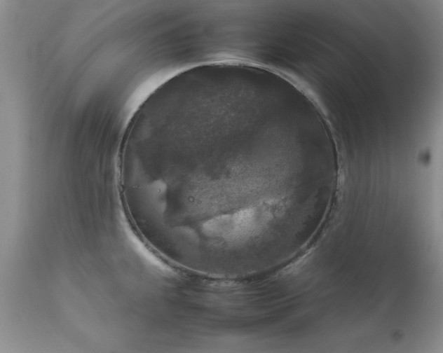 X0000111811239200907301225