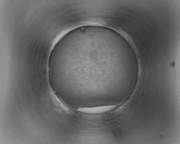 X0000111811240200907301225