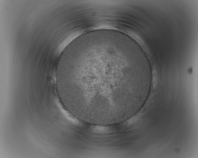 X0000111811241200907301225