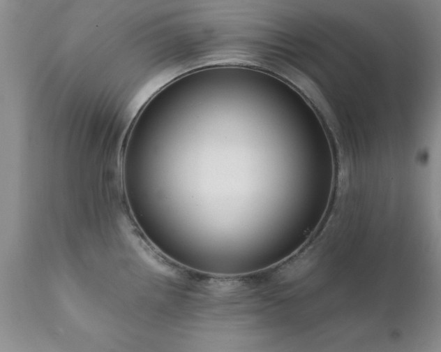 X0000111811242200907301225