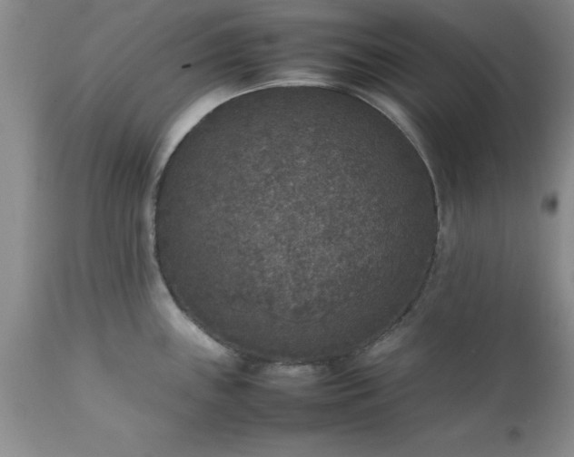 X0000111811243200907301225