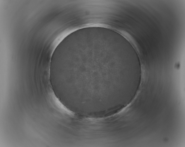 X0000111811244200907301225