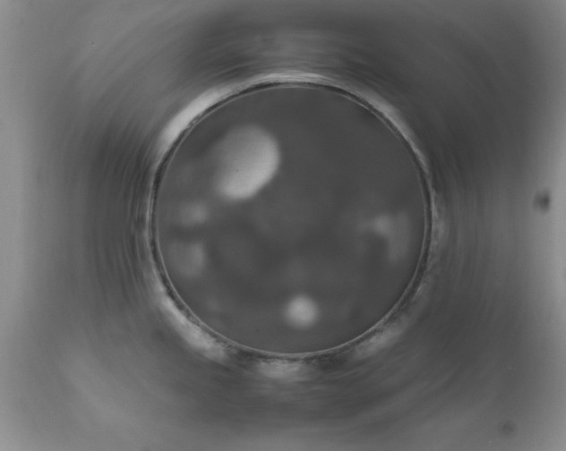 X0000111811245200907301225