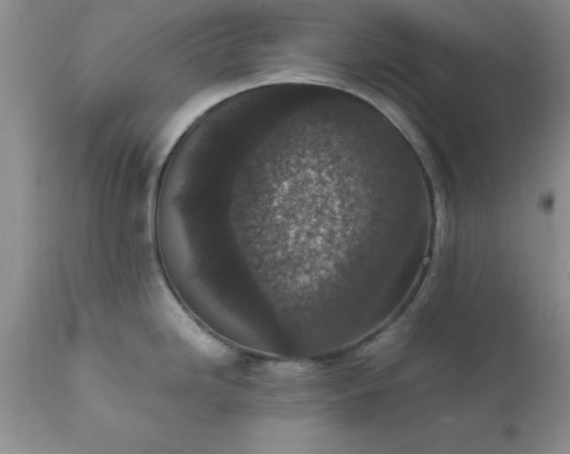 X0000111811246200907301225