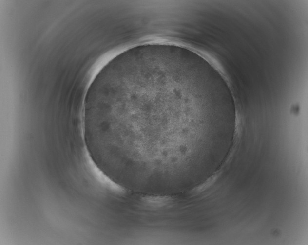 X0000111811247200907301226