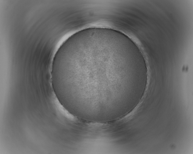 X0000111811248200907301226