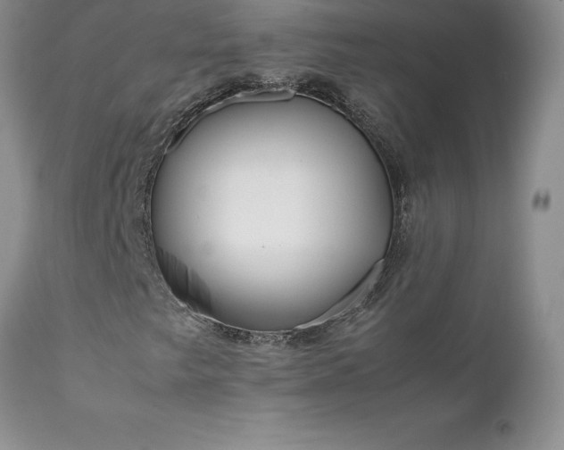 X0000111811249200907301225