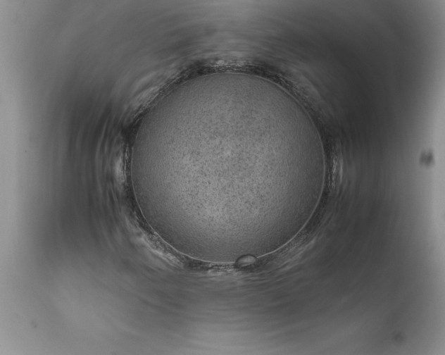 X0000111811250200907301225