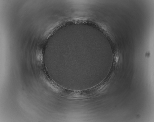 X0000111811252200907301225