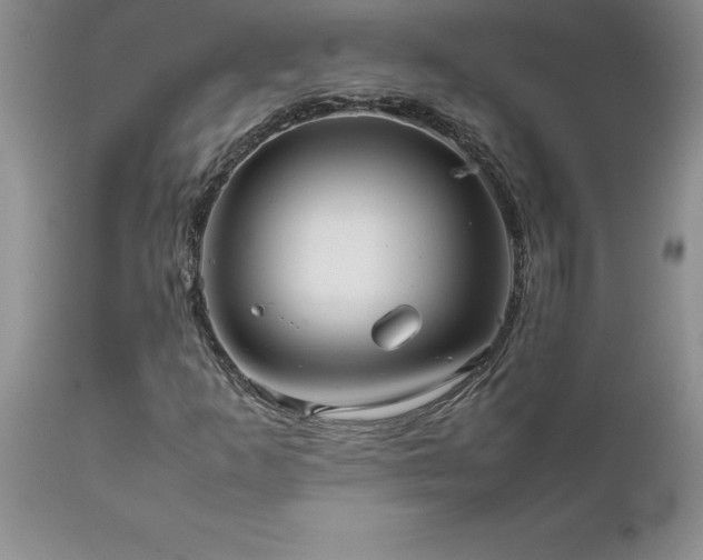 X0000111811253200907301225