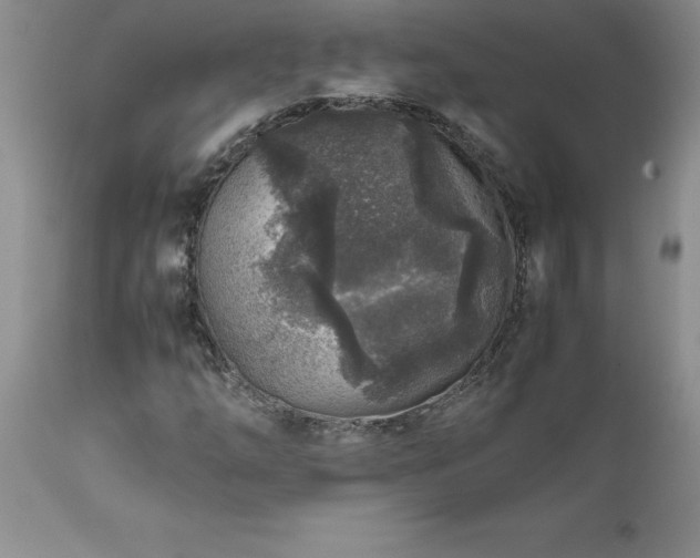 X0000111811254200907301225