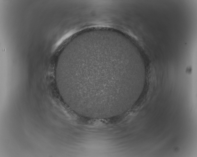 X0000111811255200907301225
