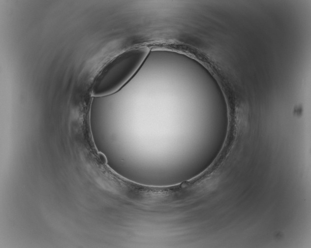 X0000111811257200907301225