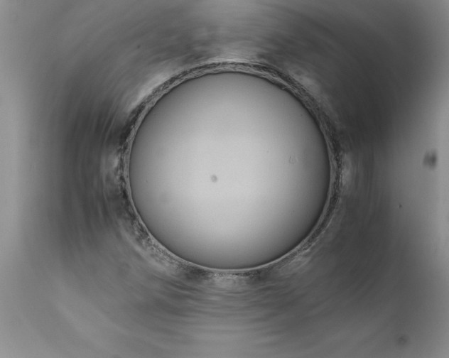 X0000111811258200907301225