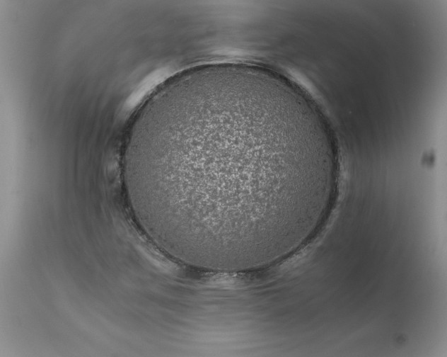 X0000111811259200907301225