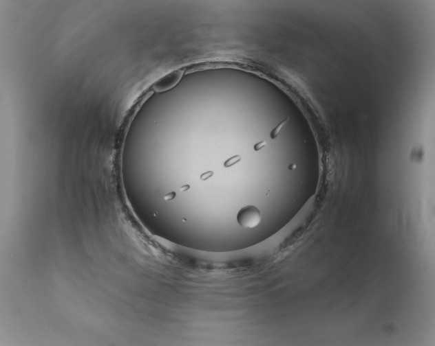 X0000111811260200907301225