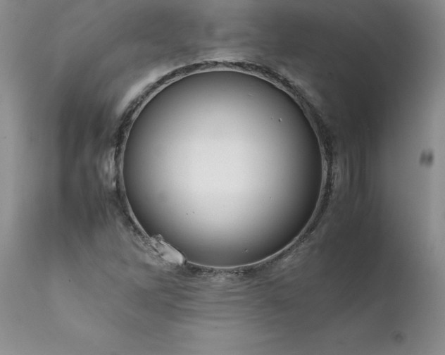 X0000111811262200907301225