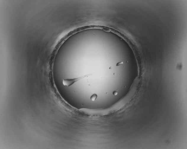 X0000111811264200907301225