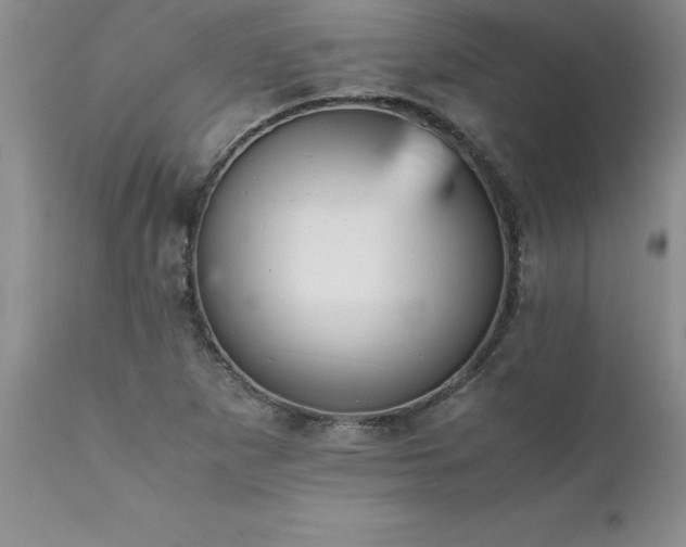 X0000111811265200907301225