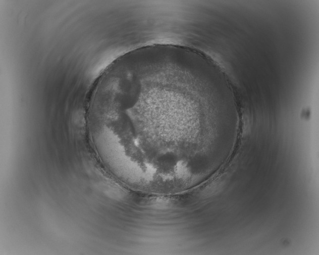 X0000111811266200907301225