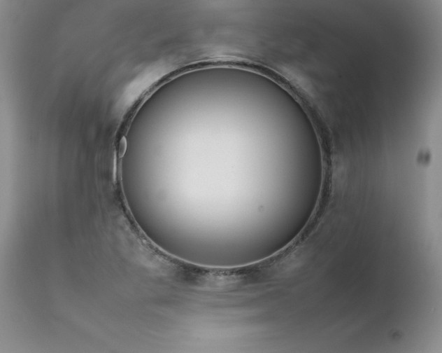 X0000111811269200907301224