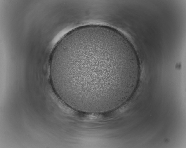 X0000111811271200907301224
