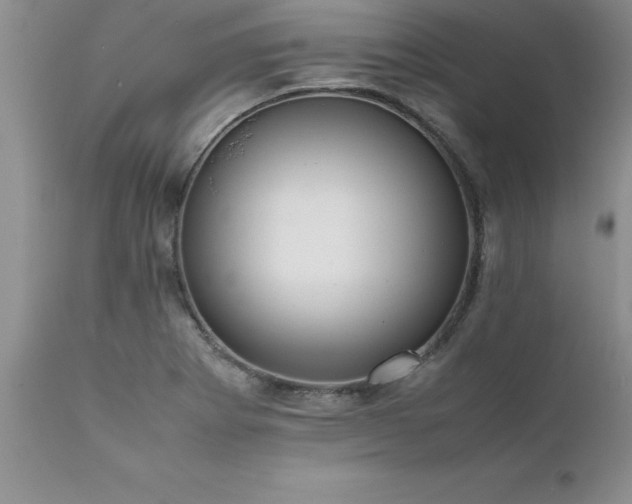 X0000111811273200907301224