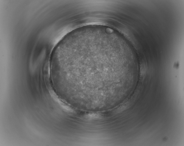 X0000111811274200907301224