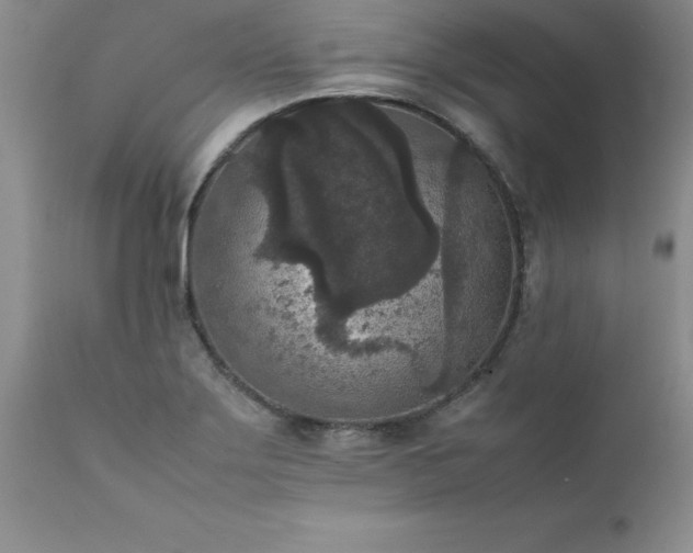 X0000111811275200907301224
