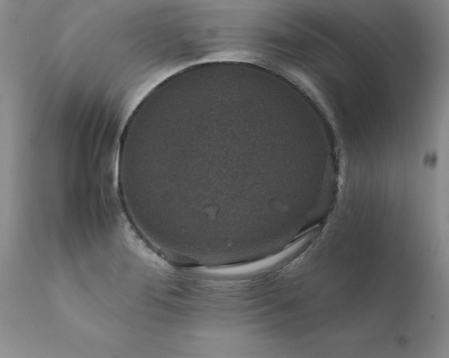 X0000111811276200907301224