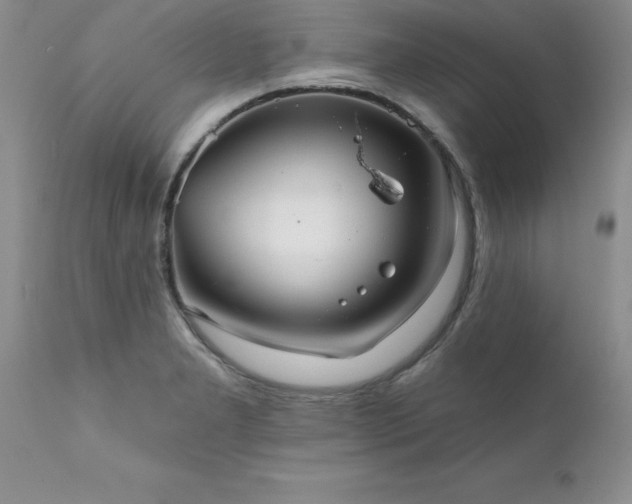 X0000111811277200907301224