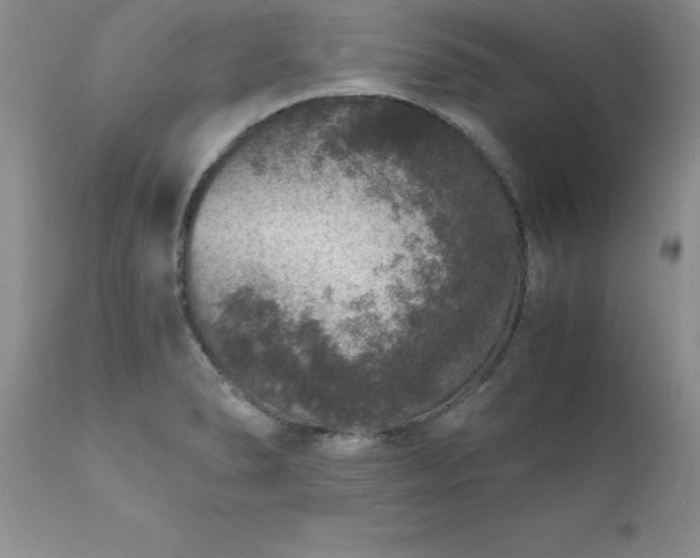 X0000111811278200907301224