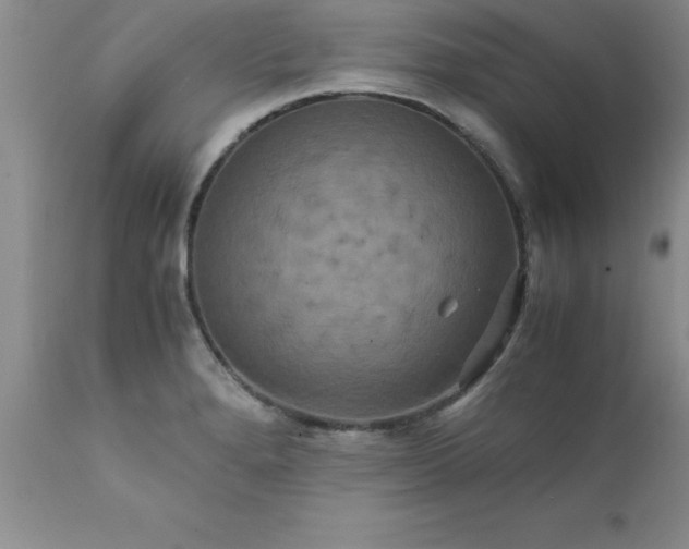 X0000111811280200907301224