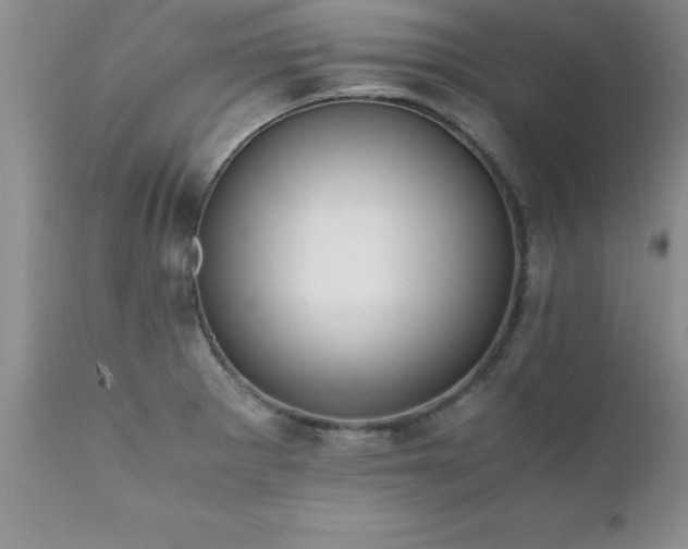 X0000111811281200907301224