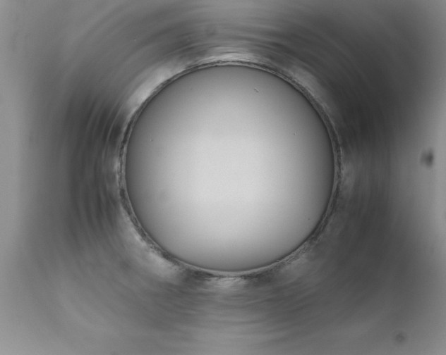 X0000111811282200907301224