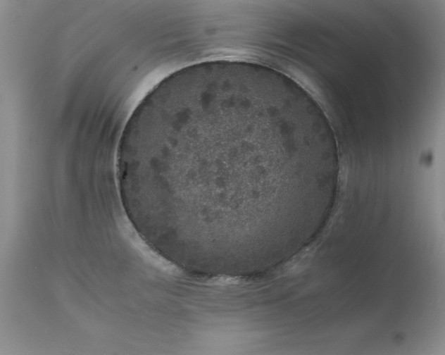 X0000111811283200907301224