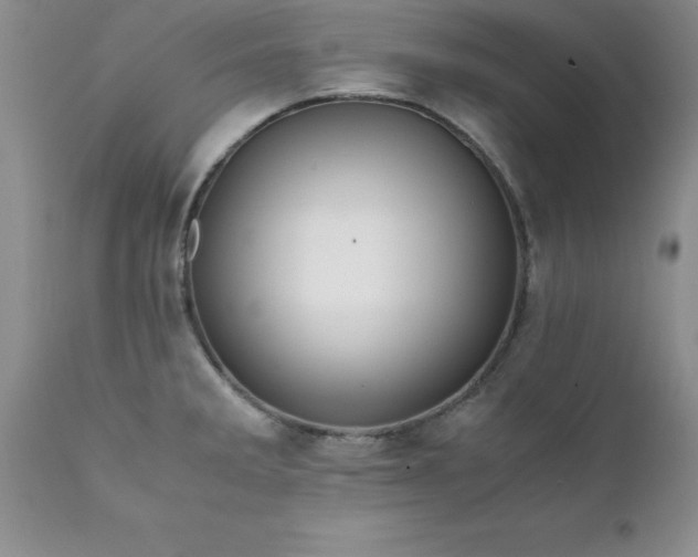X0000111811285200907301224