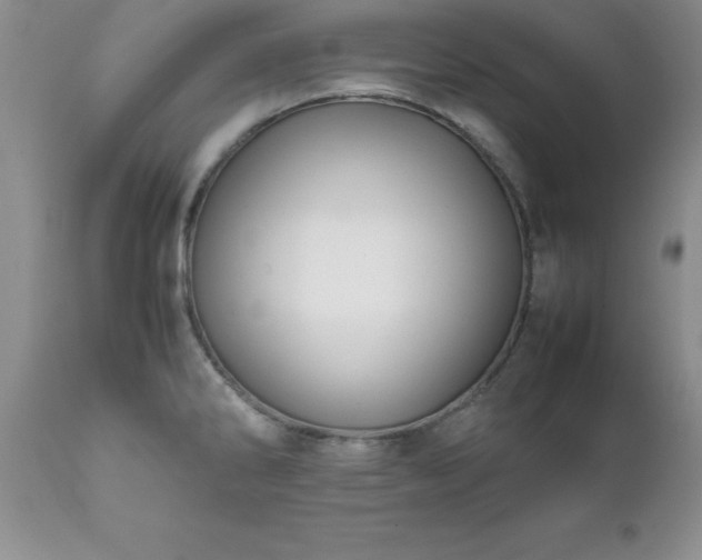 X0000111811286200907301224