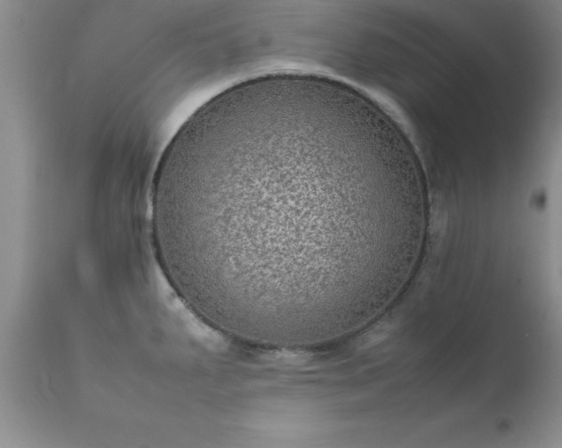 X0000111811287200907301224