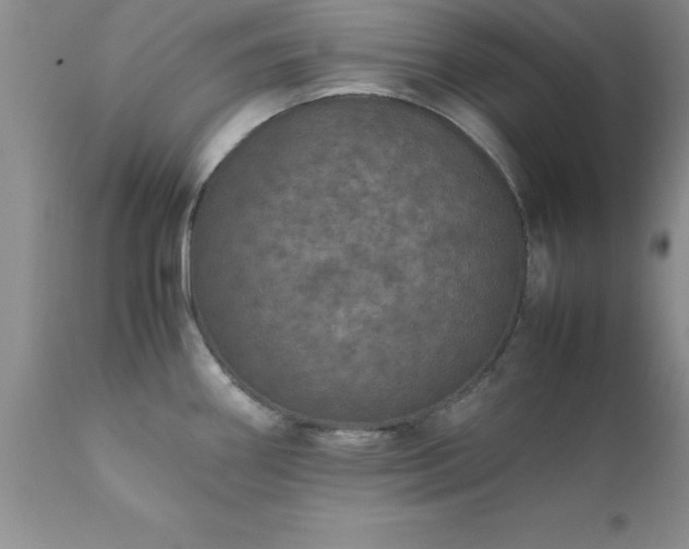 X0000111811290200907301224