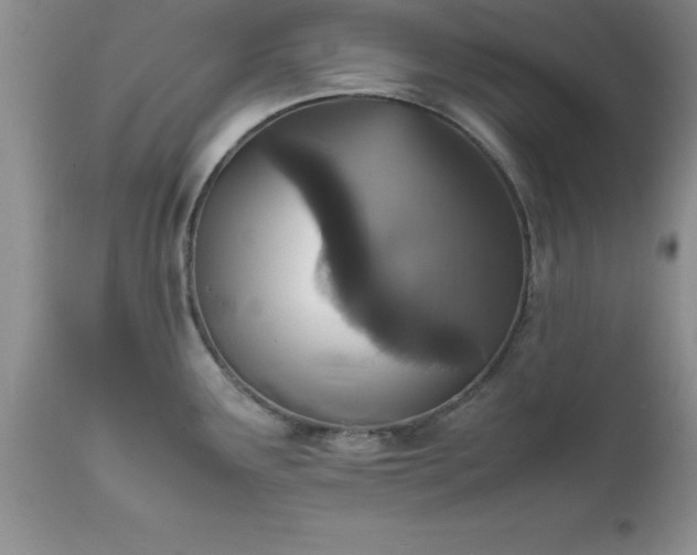 X0000111811291200907301224
